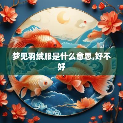 梦见羽绒服是什么意思,好不好