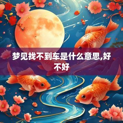 梦见找不到车是什么意思,好不好
