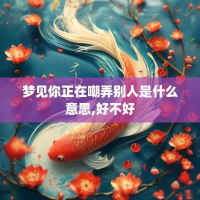 梦见你正在嘲弄别人是什么意思,好不好