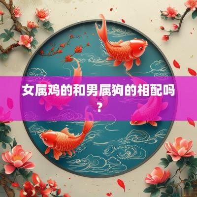女属鸡的和男属狗的相配吗？