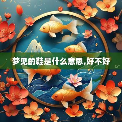 梦见的鞋是什么意思,好不好