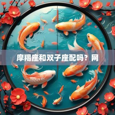 摩羯座和双子座配吗？网