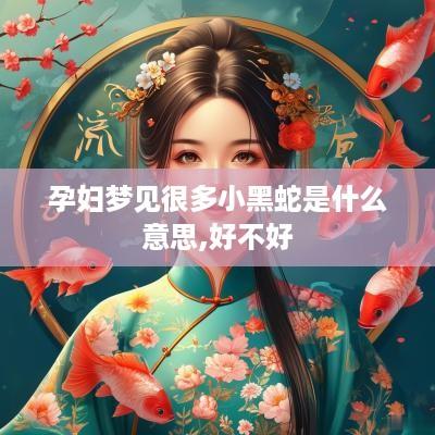 孕妇梦见很多小黑蛇是什么意思,好不好