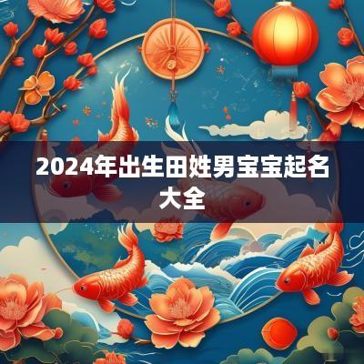 2025年出生田姓男宝宝起名大全