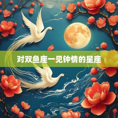 对双鱼座一见钟情的星座