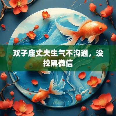 双子座丈夫生气不沟通，没拉黑微信