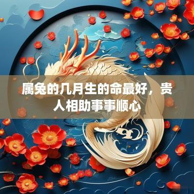 属兔的几月生的命最好，贵人相助事事顺心