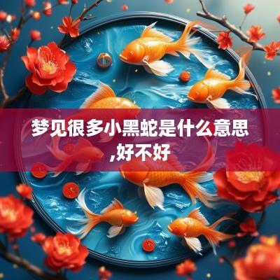 梦见很多小黑蛇是什么意思,好不好