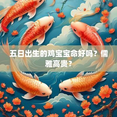 五日出生的鸡宝宝命好吗？儒雅高贵？
