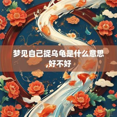 梦见自己捉乌龟是什么意思,好不好