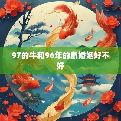 97的牛和96年的鼠婚姻好不好