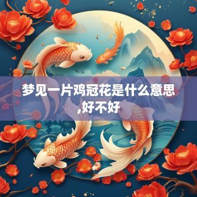 梦见一片鸡冠花是什么意思,好不好