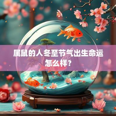 属鼠的人冬至节气出生命运怎么样？