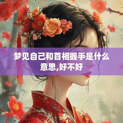 梦见自己和首相握手是什么意思,好不好