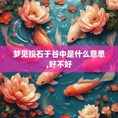 梦见投石于谷中是什么意思,好不好