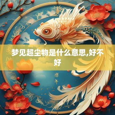 梦见超尘物是什么意思,好不好