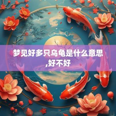 梦见好多只乌龟是什么意思,好不好