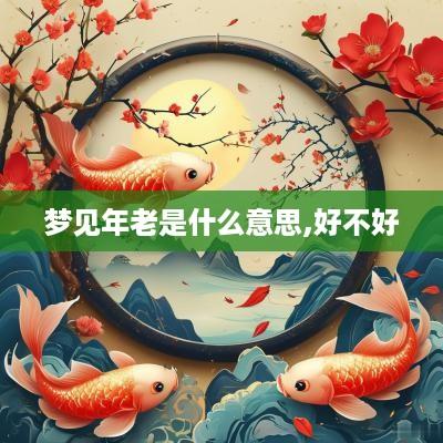 梦见年老是什么意思,好不好