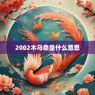 2002木马命是什么意思