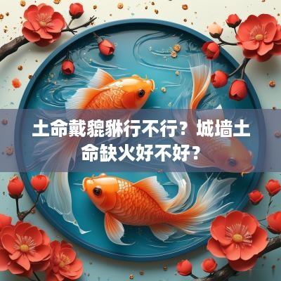 土命戴貔貅行不行？城墙土命缺火好不好？