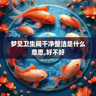 梦见卫生间干净整洁是什么意思,好不好