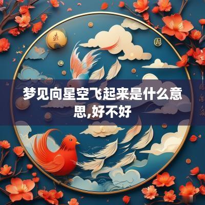 梦见向星空飞起来是什么意思,好不好