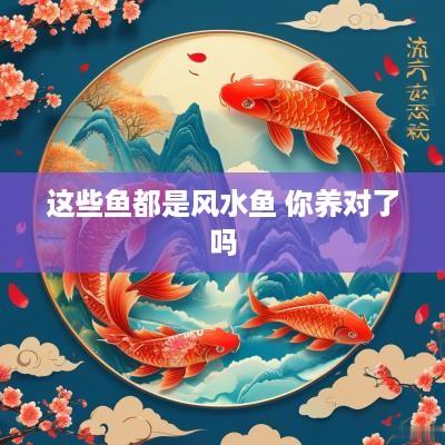 这些鱼都是风水鱼 你养对了吗