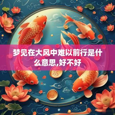 梦见在大风中难以前行是什么意思,好不好