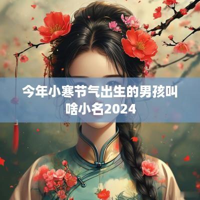 今年小寒节气出生的男孩叫啥小名2025