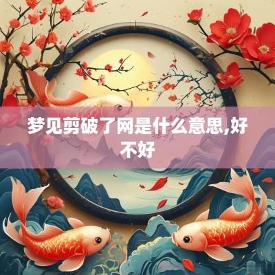 梦见剪破了网是什么意思,好不好