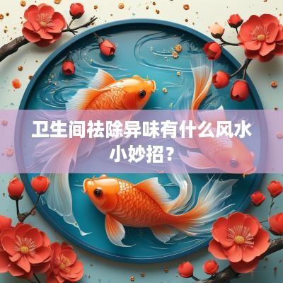 卫生间祛除异味有什么风水小妙招？
