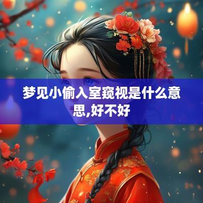 梦见小偷入室窥视是什么意思,好不好