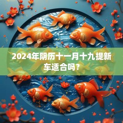 2025年阴历十一月十九提新车适合吗？