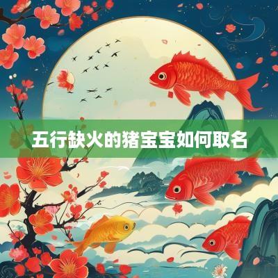 五行缺火的猪宝宝如何取名