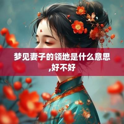 梦见妻子的领地是什么意思,好不好