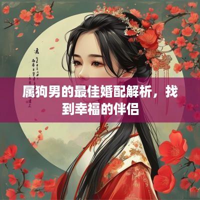 属狗男的最佳婚配解析，找到幸福的伴侣
