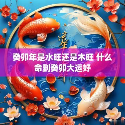癸卯年是水旺还是木旺 什么命到癸卯大运好
