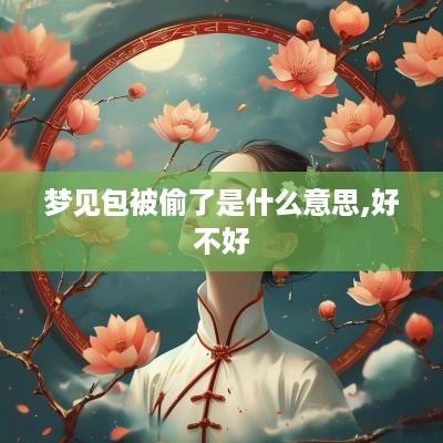梦见包被偷了是什么意思,好不好