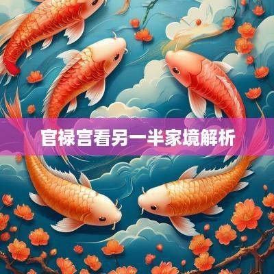 官禄宫看另一半家境解析