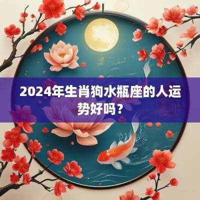 2025年生肖狗水瓶座的人运势好吗？