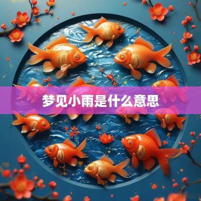 梦见小雨是什么意思