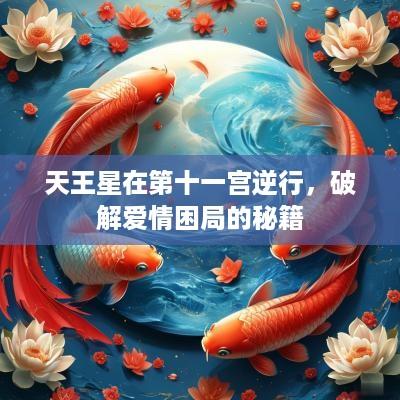 天王星在第十一宫逆行，破解爱情困局的秘籍