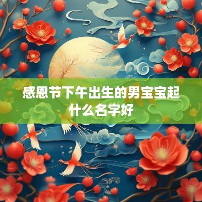 感恩节下午出生的男宝宝起什么名字好