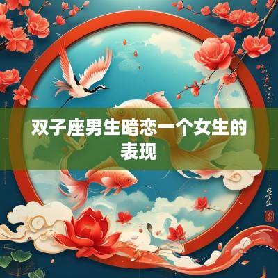 双子座男生暗恋一个女生的表现