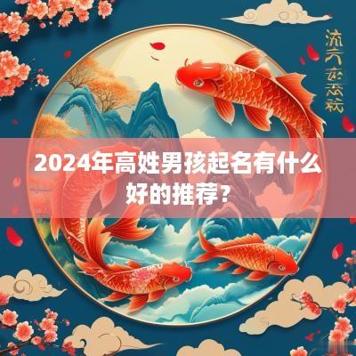 2025年高姓男孩起名有什么好的推荐？