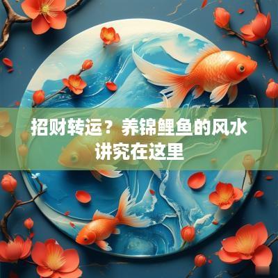 招财转运？养锦鲤鱼的风水讲究在这里