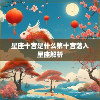 星座十宫是什么第十宫落入星座解析