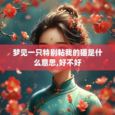 梦见一只特别粘我的猫是什么意思,好不好