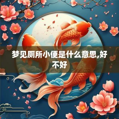 梦见厕所小便是什么意思,好不好