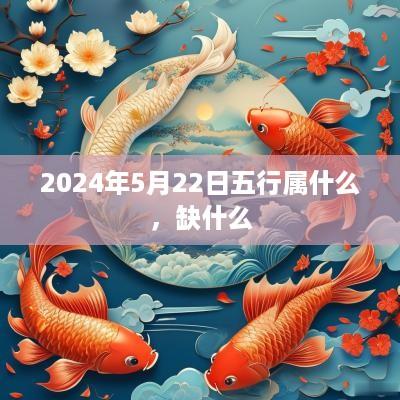 2025年5月22日五行属什么，缺什么